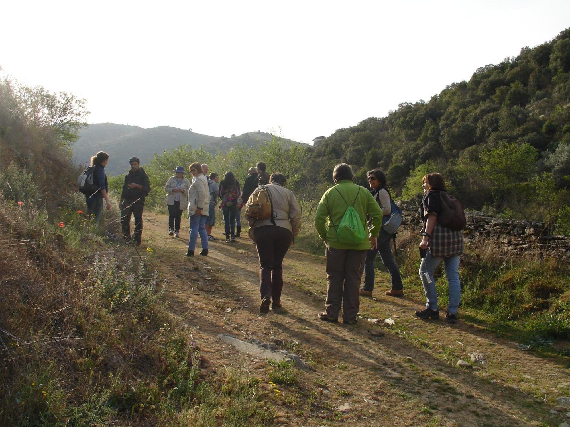 빌라 노바 데 포즈코아 Bairro Do Casal - Turismo D'Aldeia 게스트하우스 객실 사진